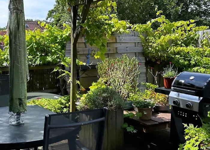 Bbstudio3 * Le Helder